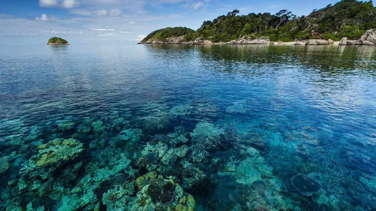 Pulau Tamang